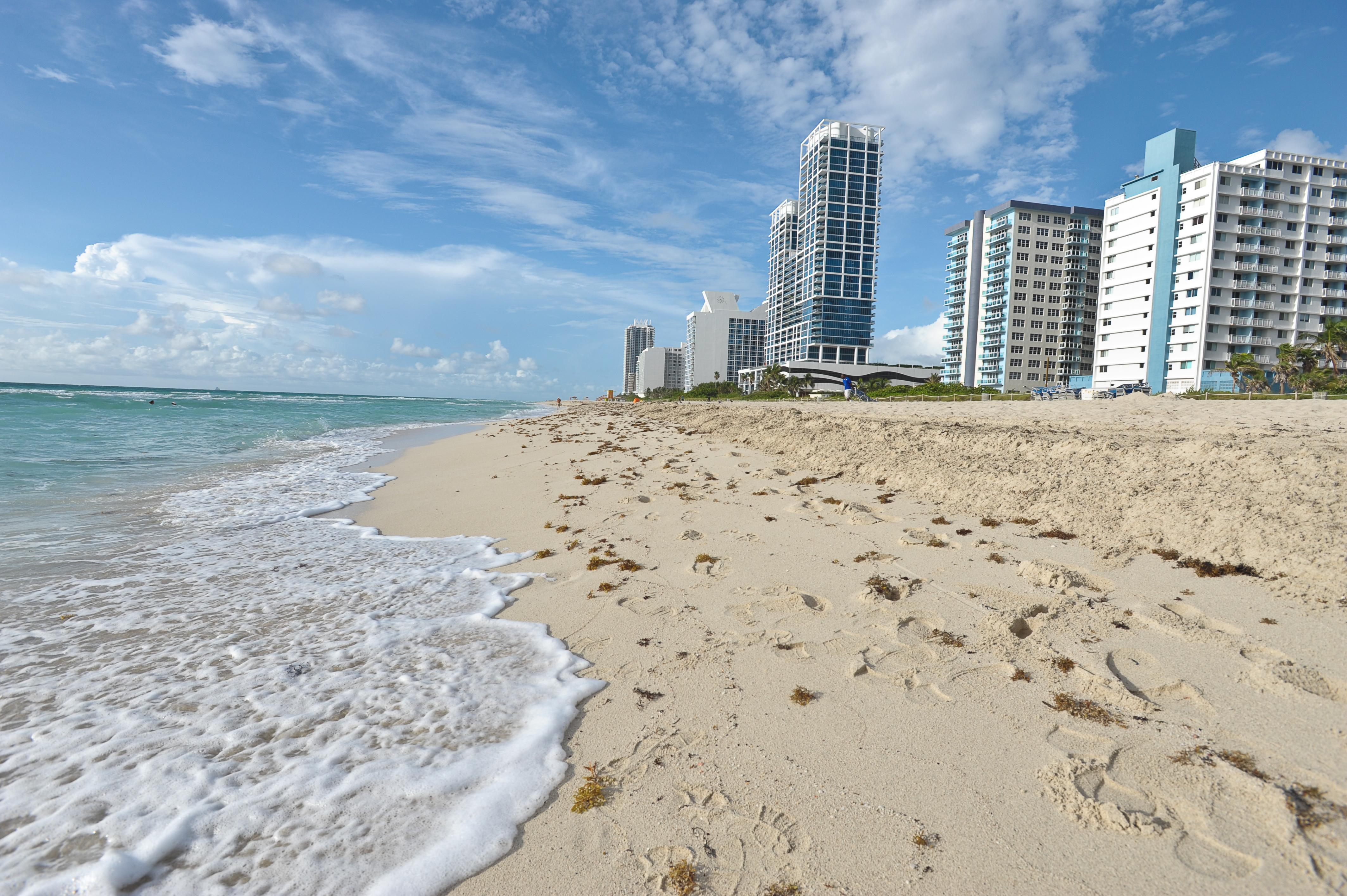 Crystal Beach Suites Miami Oceanfront Hotel Miami Beach Natura zdjęcie